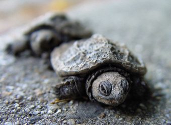 image via flickr: Clearly Ambiguous