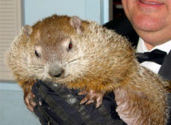 PETA Wants to Ruin Groundhog Day
