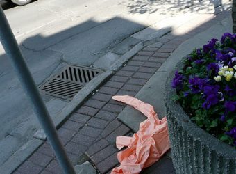 img @ kingstonist.flickr