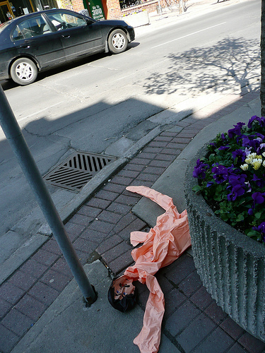 img @ kingstonist.flickr