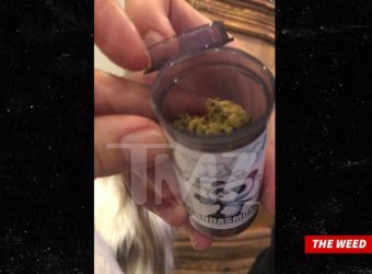 Woman Buys Hoodie from Chris Brown & Gets Bonus Weed