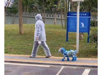 Even More Coronavirus Memes to Keep You Going