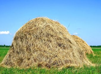 haystack