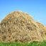 haystack