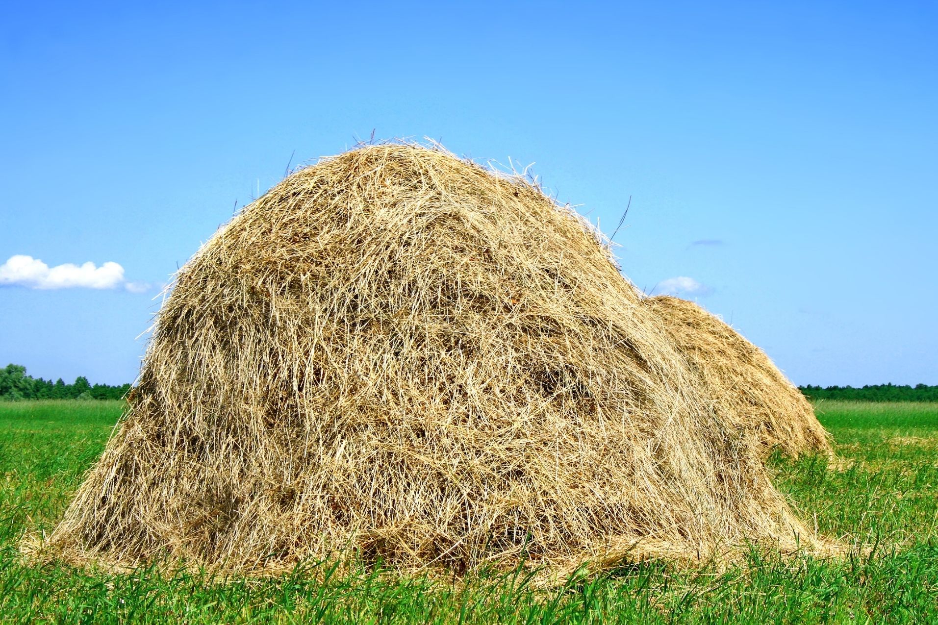 haystack