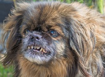 dating-site-profile-photo