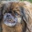 dating-site-profile-photo