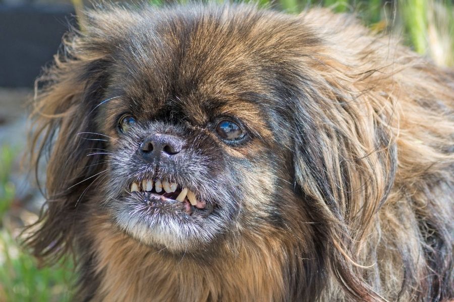 dating-site-profile-photo